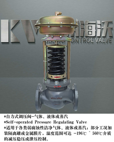 �����p���y