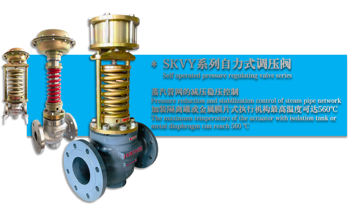 SKVY����ʽ�����p����(w��n)���y-���ݺ������w�����O�����޹�˾