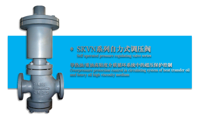 SKVN������ʽ�{(di��o)���y-���ݺ������w�����O�����޹�˾